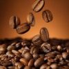 Roasted Coffee Beans Photo